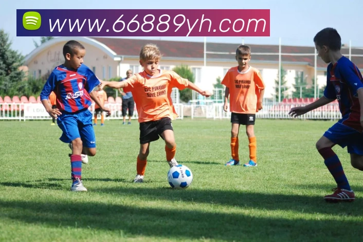 平台使命图